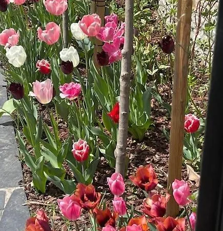 Hébergement de vacances Portillon - Charming Fountain Garden Bagnères-de-Luchon
