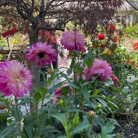 Portillon - Charming Fountain Garden Hébergement de vacances Bagnères-de-Luchon