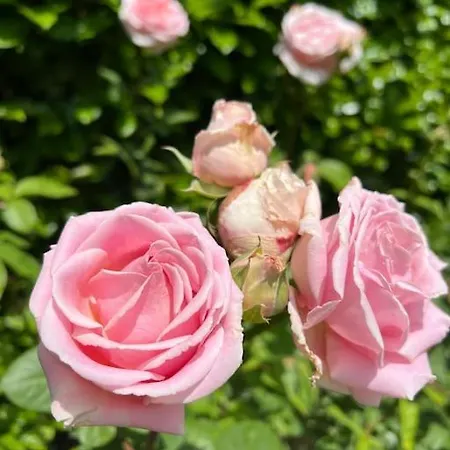 Portillon - Charming Fountain Garden Hébergement de vacances