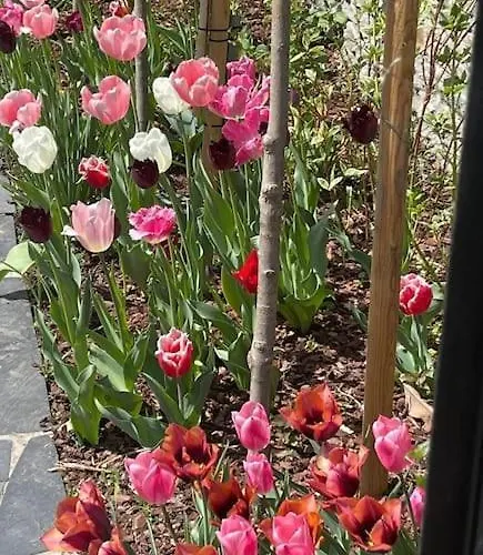 Hébergement de vacances Portillon - Charming Fountain Garden Bagnères-de-Luchon