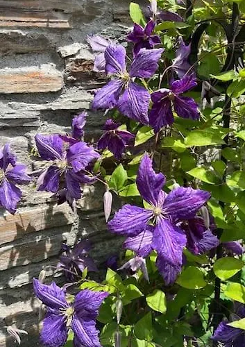 Portillon - Charming Fountain Garden * Bagnères-de-Luchon